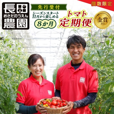 【個数限定 先行受付】シーズンスタート11月から楽しめるトマト8か月定期便　H004-167