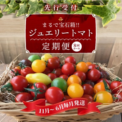 【先行受付】11月～6月毎月発送　まるで宝石箱!ジュエリートマトの8回定期便　H004-142