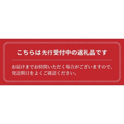 【先行受付】11月～6月毎月発送　まるで宝石箱!ジュエリートマトの8回定期便　H004-142