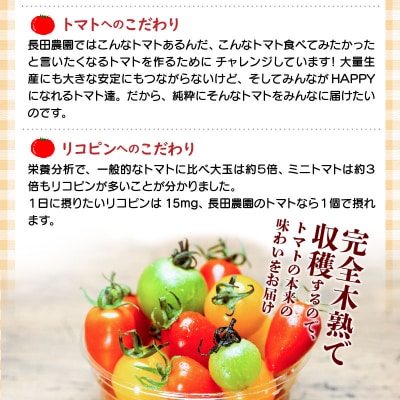 【先行受付】11月～6月毎月発送　まるで宝石箱!ジュエリートマトの8回定期便　H004-142