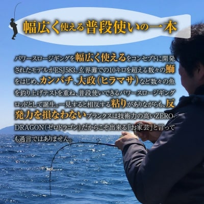 ロッド ESJシリーズ ESJ583 パワースロー スロージギング ジギング釣り竿　H153-106