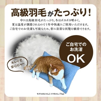 【たっぷり!!リアルダウン使用】ペット用　羽毛クッションベッドセット　H162-041