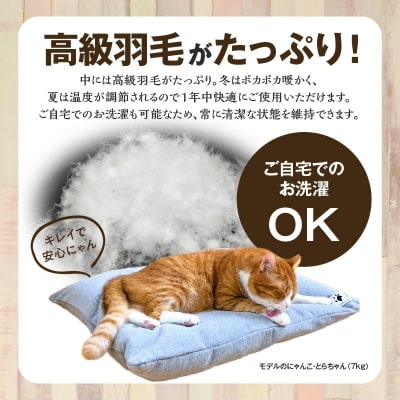 【たっぷり!!リアルダウン使用】大きめ! ペット用　羽毛クッションセット　H162-031