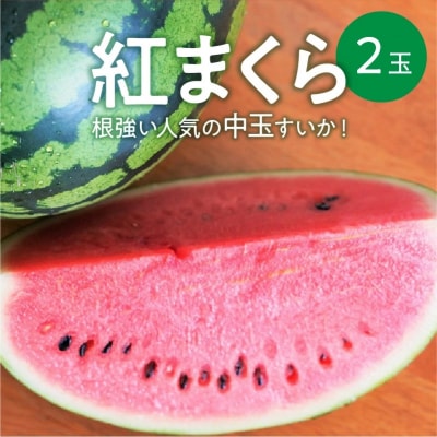 【2023年発送】根強い人気の中玉すいか「紅まくら」2玉 すいか 甘い フルーツ H141-006