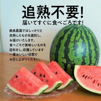 【2023年発送】根強い人気の中玉すいか「紅まくら」2玉 すいか 甘い フルーツ　H141-006