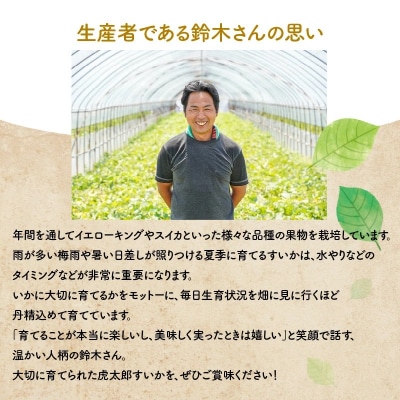 【2023年発送】根強い人気の中玉すいか「紅まくら」2玉 すいか 甘い フルーツ　H141-006