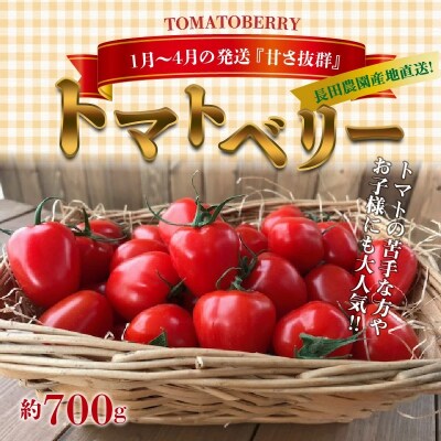甘さ抜群!トマト嫌いでも食べられるトマトベリー 700g(1月～4月発送) H004-125 | ふるさと納税のお礼品