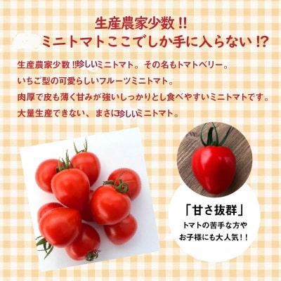 【事前受付】トマト嫌いでも食べられるトマトベリー約700g(1月～4月発送)　 H004-125