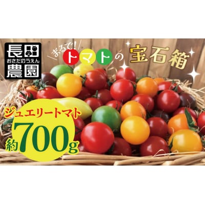 【事前受付】まるでトマトの宝石箱!ジュエリートマト約700g H004-184_Nov