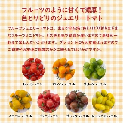【事前受付】まるでトマトの宝石箱!ジュエリートマト約700g(1月～4月発送)　H004-126