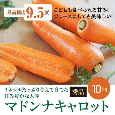 予約受付(TVで紹介)こどもも食べられる甘み「マドンナキャロット」 10kg H105-187