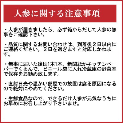 予約受付(TVで紹介)こどもも食べられる甘み「マドンナキャロット」 10kg H105-123