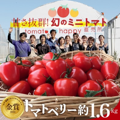 【事前受付】トマト嫌いでも食べられるトマトベリー約1.6kg　H004-179_Nov