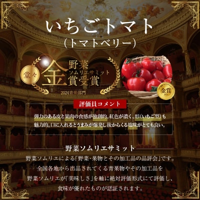 【事前受付】トマト嫌いでも食べられるトマトベリー約1.6kg　H004-179_Nov