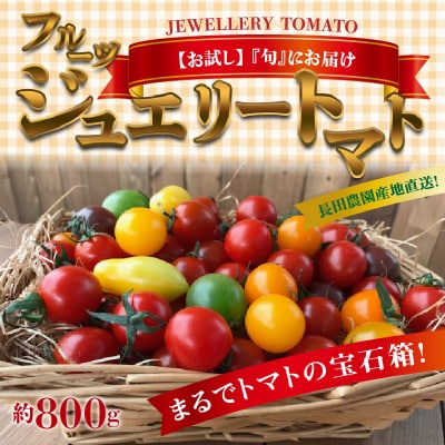 【お試し】まるでトマトの宝石箱!フルーツジュエリートマト 約800g　 H004-115
