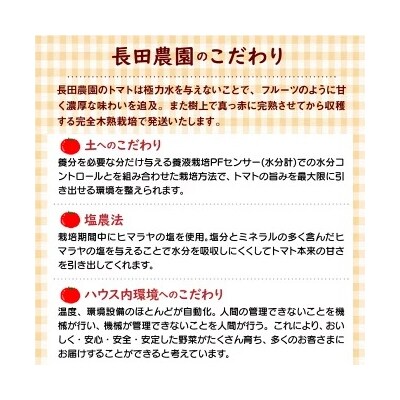 【お試し】まるでトマトの宝石箱!フルーツジュエリートマト 約800g　 H004-115