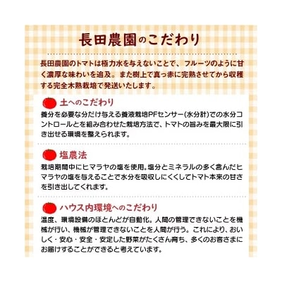 【お試し】まるでトマトの宝石箱!フルーツジュエリートマト 約800g　 H004-115