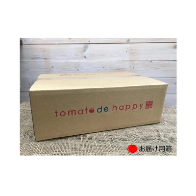 【4月～6月の定期便】たっぷり約2kg×3回!トマトベリーの定期便 H004-186