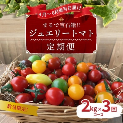 【4月～6月の定期便】たっぷり約2kg×3回!ジュエリーミニトマトの定期便 H004-187