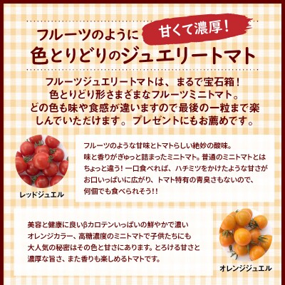 1月～6月毎月発送 まるでトマトの宝石箱!ジュエリートマトの定期便 6回コース H004-205