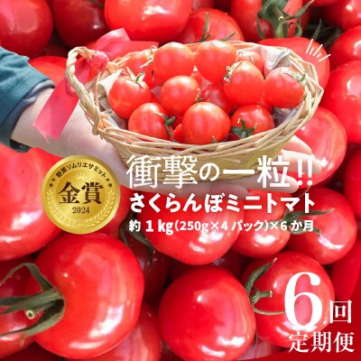 新食感!!さくらんぼミニトマトの定期便 約1kg×6回コース　H004-136