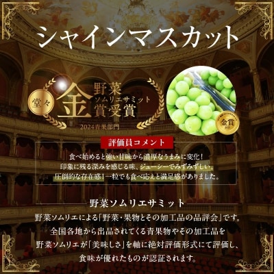 【2026年発送】皆さんの応援で実った シャインマスカット 約1.2kg(2房) H004-198