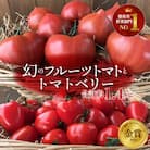 【事前受付】 ファーストトマト&トマトベリー 計1.4kg(3月～5月で発送)　H004-149