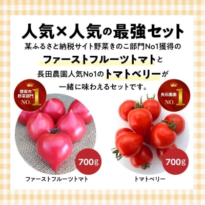 【2027年発送】ファーストトマト&トマトベリー 計1.4kg(3月～5月で発送)　H004-197