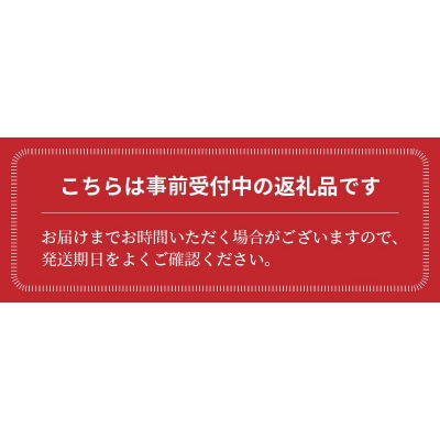 【事前受付】3ヶ月しか食べられないファーストトマト 約1.4kg 3月～5月発送 H004-127