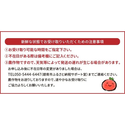 たった3ヶ月しか食べられないファーストトマト 約1.4kg 3月～5月発送 H004-127