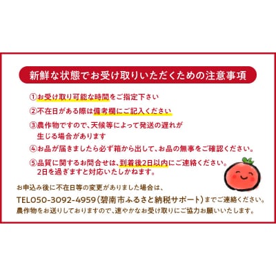 【事前受付】3ヶ月しか食べられないファーストトマト 約1.4kg 3月～5月発送 H004-185