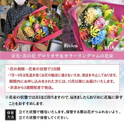 発送期日を必ず確認してください 栄光 炎の花 グロリオサ カラーリングマムの花束 H092 037 お礼品詳細 ふるさと納税なら さとふる