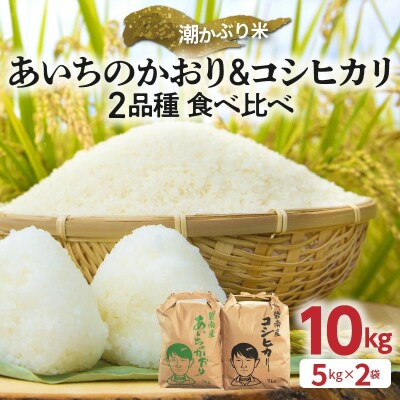 (予約)【潮かぶり米】令和7年 あいちのかおり&コシヒカリ2品種 食べ比べ10kg　H073-009