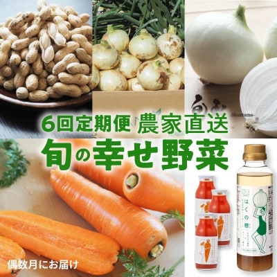 【偶数月にお届け】6回定期便 神重農産の旬の幸せ野菜 お楽しみ定期便　H105-185