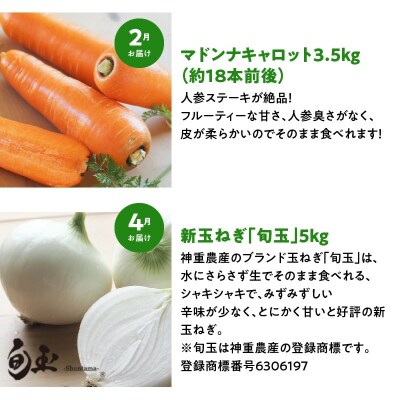 【偶数月にお届け】6回定期便 神重農産の旬の幸せ野菜 お楽しみ定期便　H105-108