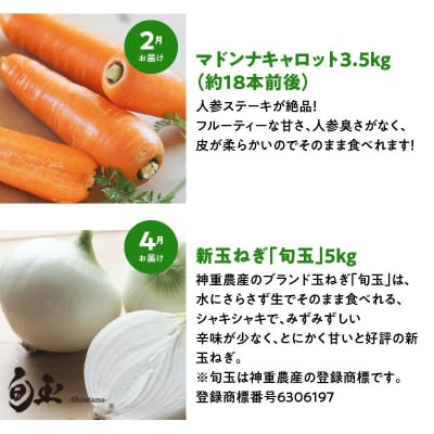 【偶数月にお届け】6回定期便 神重農産の旬の幸せ野菜 お楽しみ定期便　H105-185