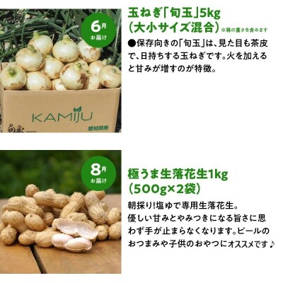【偶数月にお届け】6回定期便 神重農産の旬の幸せ野菜 お楽しみ定期便　H105-108