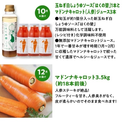 【偶数月にお届け】6回定期便 神重農産の旬の幸せ野菜 お楽しみ定期便　H105-185
