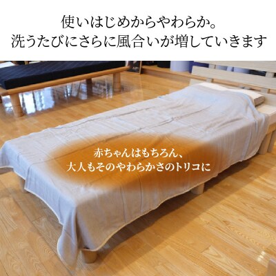 ふっくらやさしい三河木綿の5重ガーゼケット(シングルサイズ:ブルーグレー)　H036-033