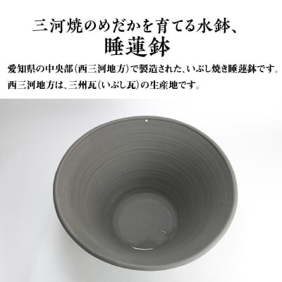 三河焼の職人が作るめだか鉢(めだかの池 手造り 18号 いぶし)　H100-060