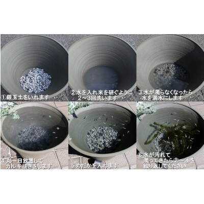 三河焼の職人が作るめだか鉢(めだかの池 手造り 18号 いぶし)　H100-060