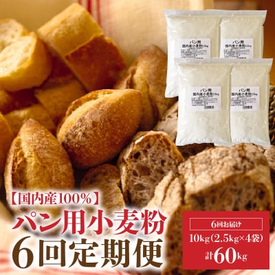 【小麦粉】国内産100% パン用 強力粉 2.5kg&times;4袋(計10kg)定期便6回 H008-188