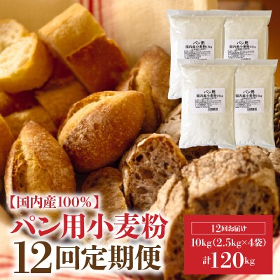 【小麦粉】国内産100% パン用 強力粉 2.5kg×4袋(計10kg)定期便12回H008-189