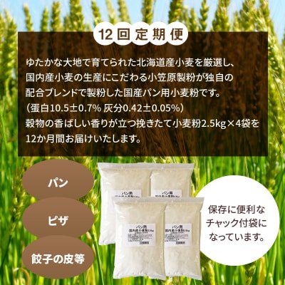 【小麦粉】国内産100% パン用 強力粉 2.5kg×4袋(計10kg)定期便12回H008-189