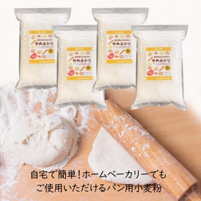【小麦粉】愛知県産ゆめあかりパン用 強力粉 2.5kg×4袋(計10kg) 定期3回H008-262