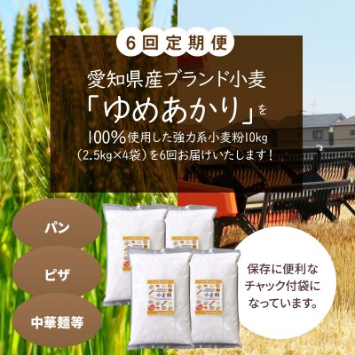 【小麦粉】愛知県産 ゆめあかり パン用 強力粉 2.5kg×4袋　定期便6回 H008-267