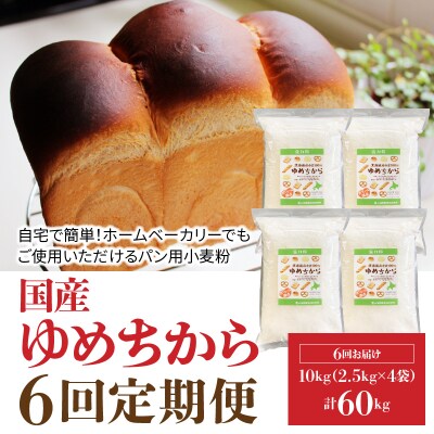 【小麦粉】国産 ゆめちから パン用強力粉 2.5kg×4袋(計10kg)定期便6回 H008-194
