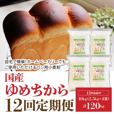 【小麦粉】国産 ゆめちから パン用強力粉 2.5kg×4袋(計10kg)定期便12回H008-195