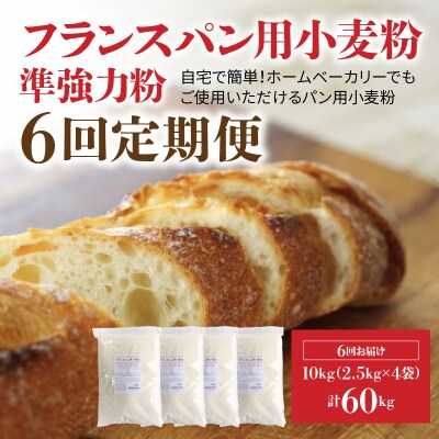 フランスパン用小麦粉 準強力粉 10kg(2.5kg×4袋) 定期便6回　H008-197