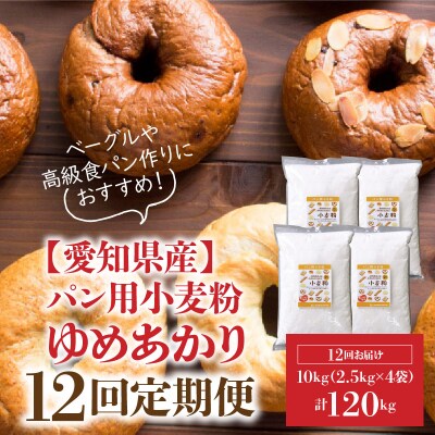【小麦粉】愛知県産 ゆめあかり 国産 パン用強力粉 2.5kg×4袋 定期便12回 H008-266